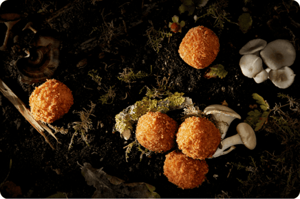 Gro together oesterzwam bitterballen