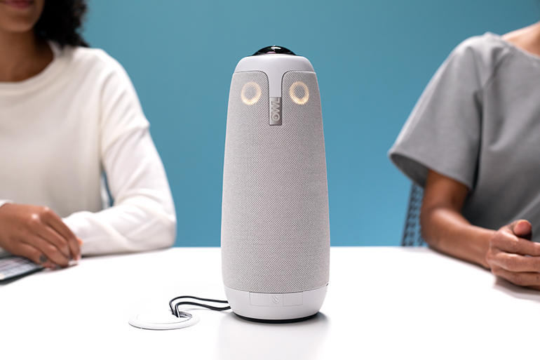 Aristo-meeting-owl